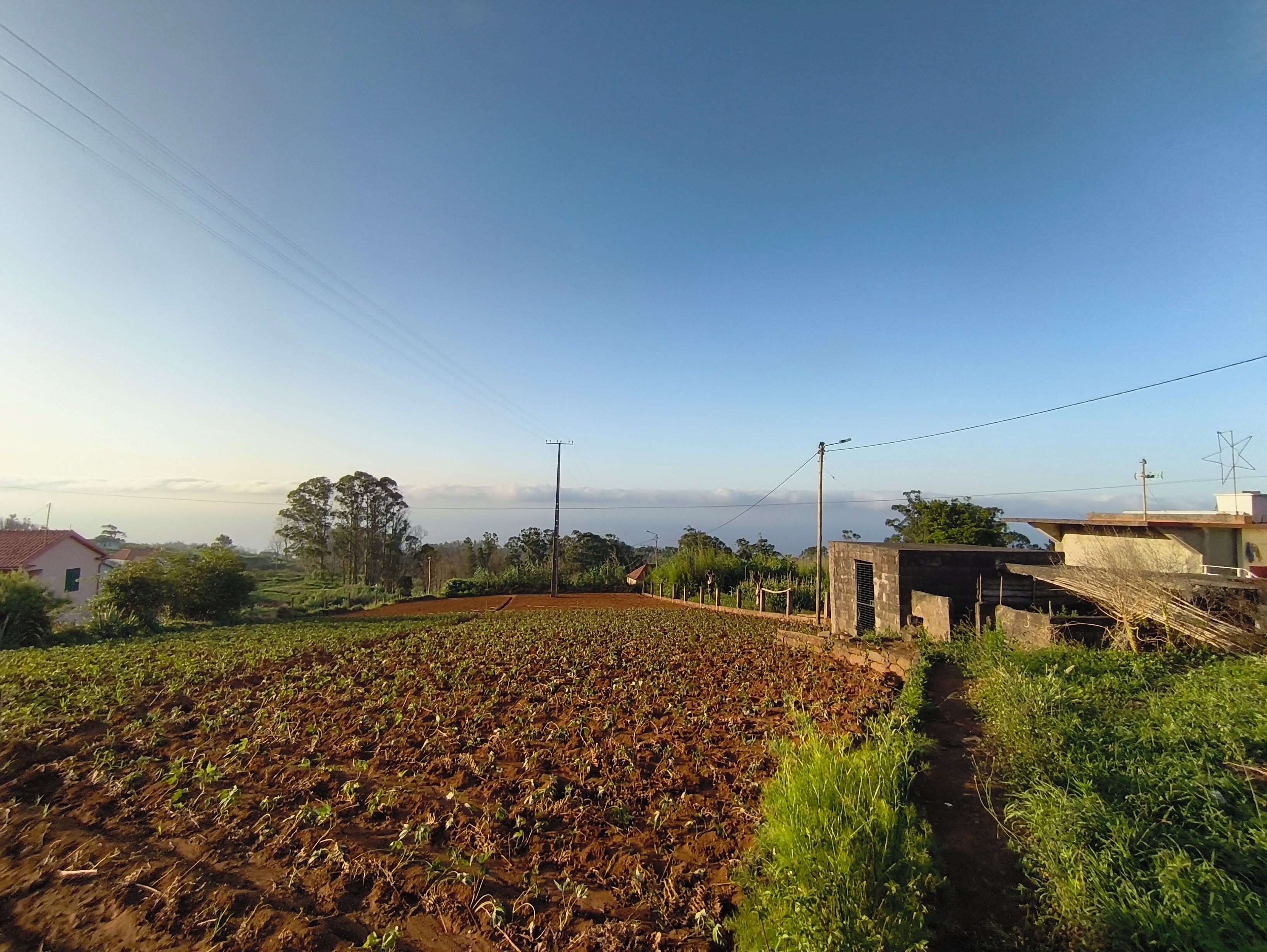 Paisaje rural con un campo de cultivo, un camino de tierra y algunos edificios al fondo.