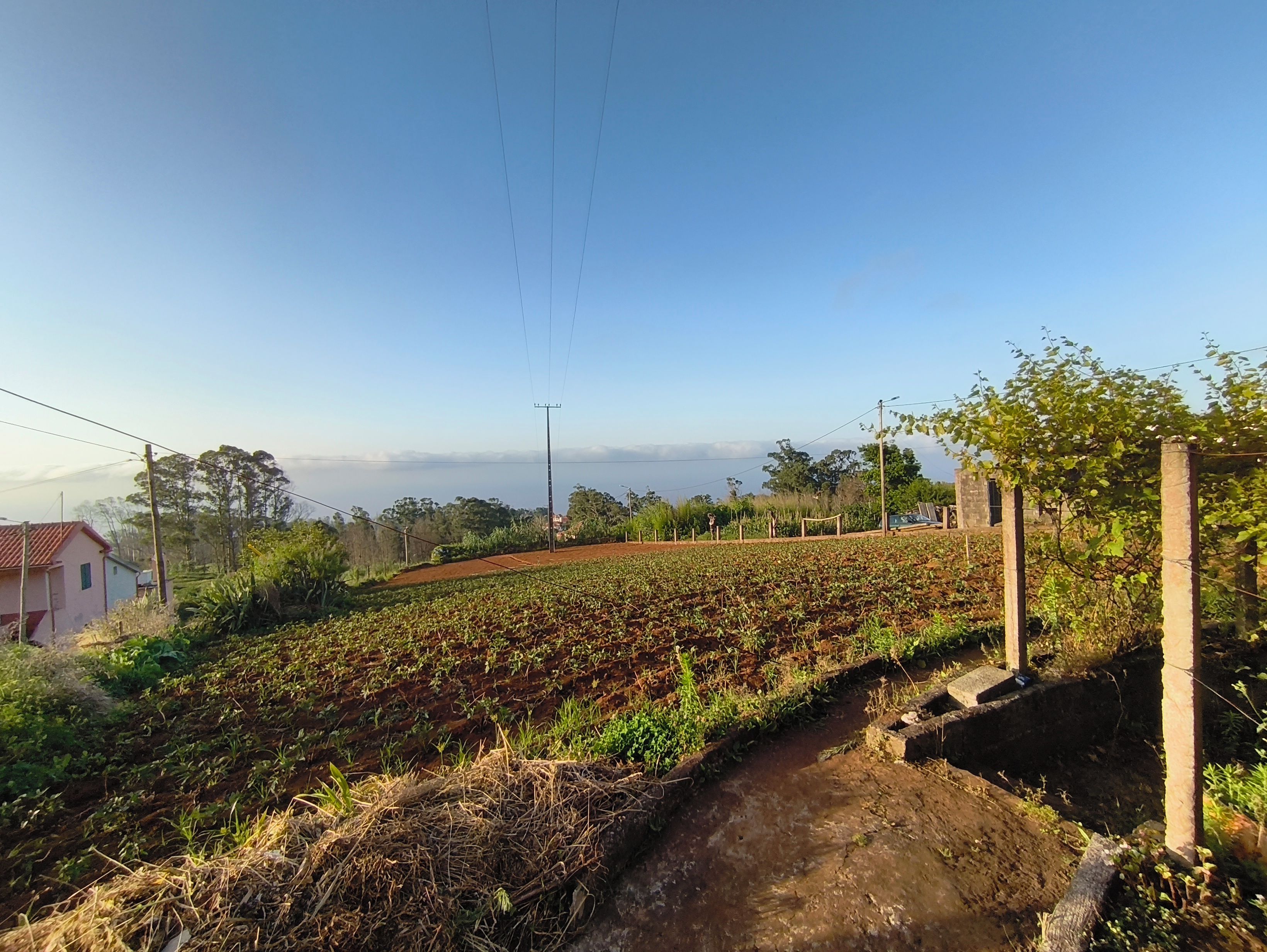 Un paysage rural avec un chemin de terre, des cultures et une étendue d’eau visible au loin.