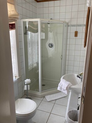 A bathroom with a glass-enclosed shower, a toilet, and a sink. - Room 4 - St. George Hotel (Barkerville)