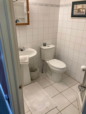 A small, clean bathroom with a toilet, sink, and a framed picture on the wall. - Room 5 - St. George Hotel (Barkerville)