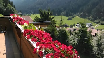 Ein Balkon mit roten Blumen, Blick auf ein Dorf und Berge im Hintergrund.