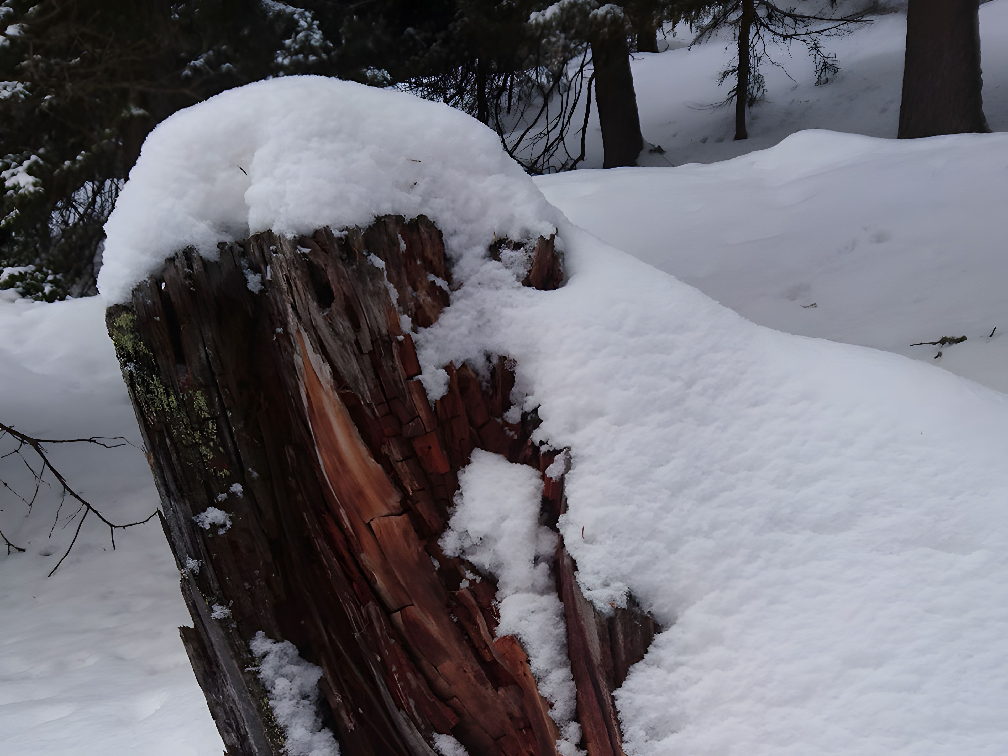 Un ceppo di neve con una texture ruvida e senza strutture circostanti visibili.