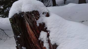 Un ceppo di neve con una texture ruvida e senza strutture circostanti visibili.