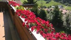 A balcony with a view of a mountainous landscape. - Apartment '1' with Mountain View, Shared Garden and Wi-Fi (Selva dei Molini)