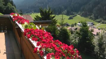 Un balcon donnant sur un paysage montagneux.