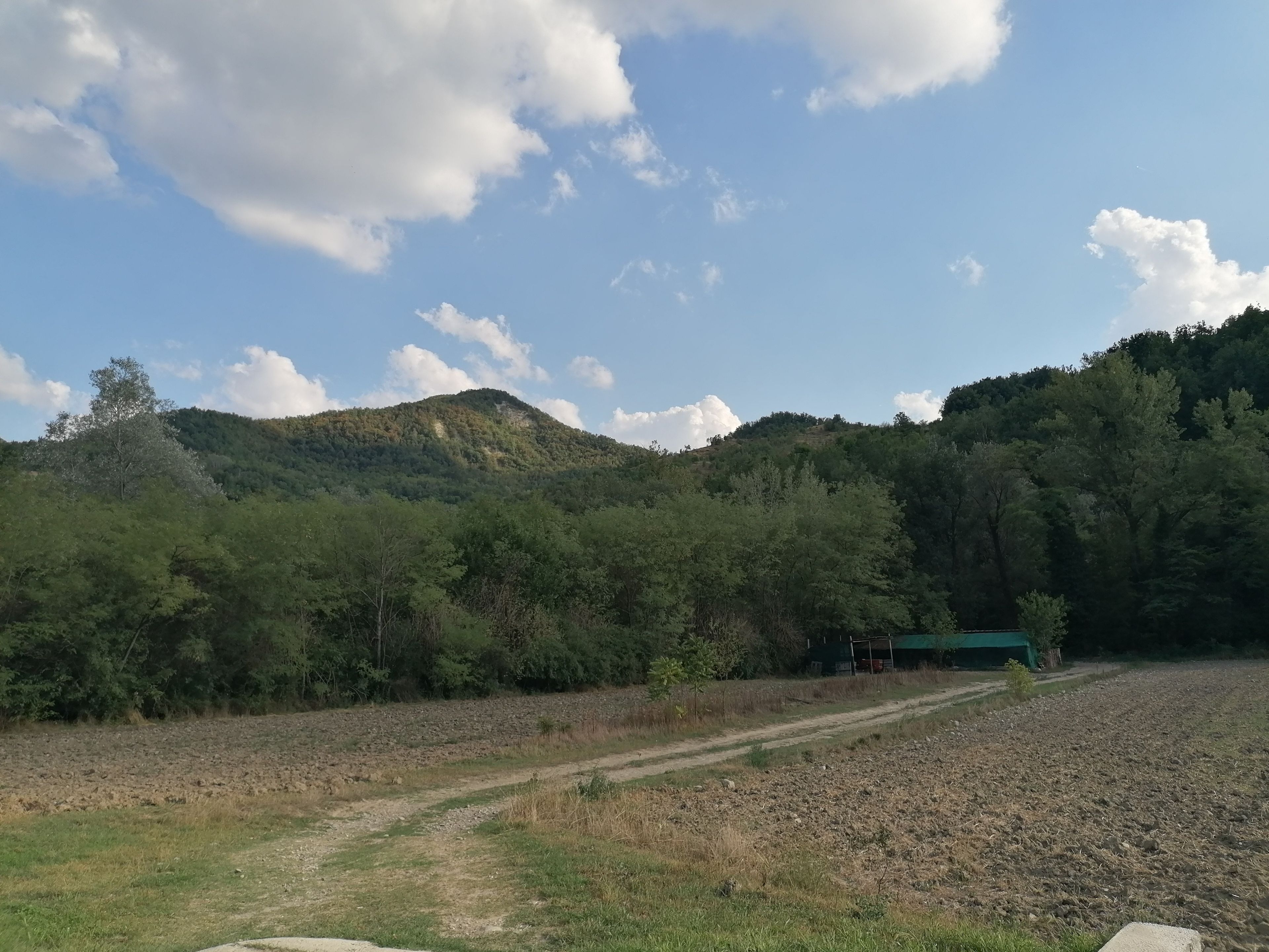 Ländliche Landschaft mit einem Feldweg, der zu einem gebäudeartigen Bau mit grüner Dachbegrünung in einem bewaldeten Hügel führt.