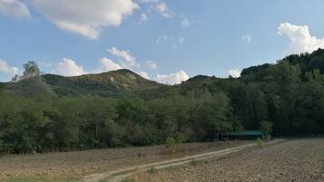 Ländliche Landschaft mit einem Feldweg, der zu einem gebäudeartigen Bau mit grüner Dachbegrünung in einem bewaldeten Hügel führt.