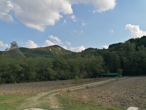 Ländliche Landschaft mit einem Feldweg, der zu einem gebäudeartigen Bau mit grüner Dachbegrünung in einem bewaldeten Hügel führt.