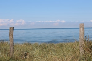 Blick auf die Küste mit Holzzaun und Gras im Vordergrund, das zu einem ruhigen Meer unter wolkenlosem Himmel führt.