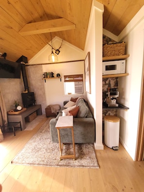 Un espace de vie chaleureux avec une cheminée, un canapé, une machine à café et un four à micro-ondes.