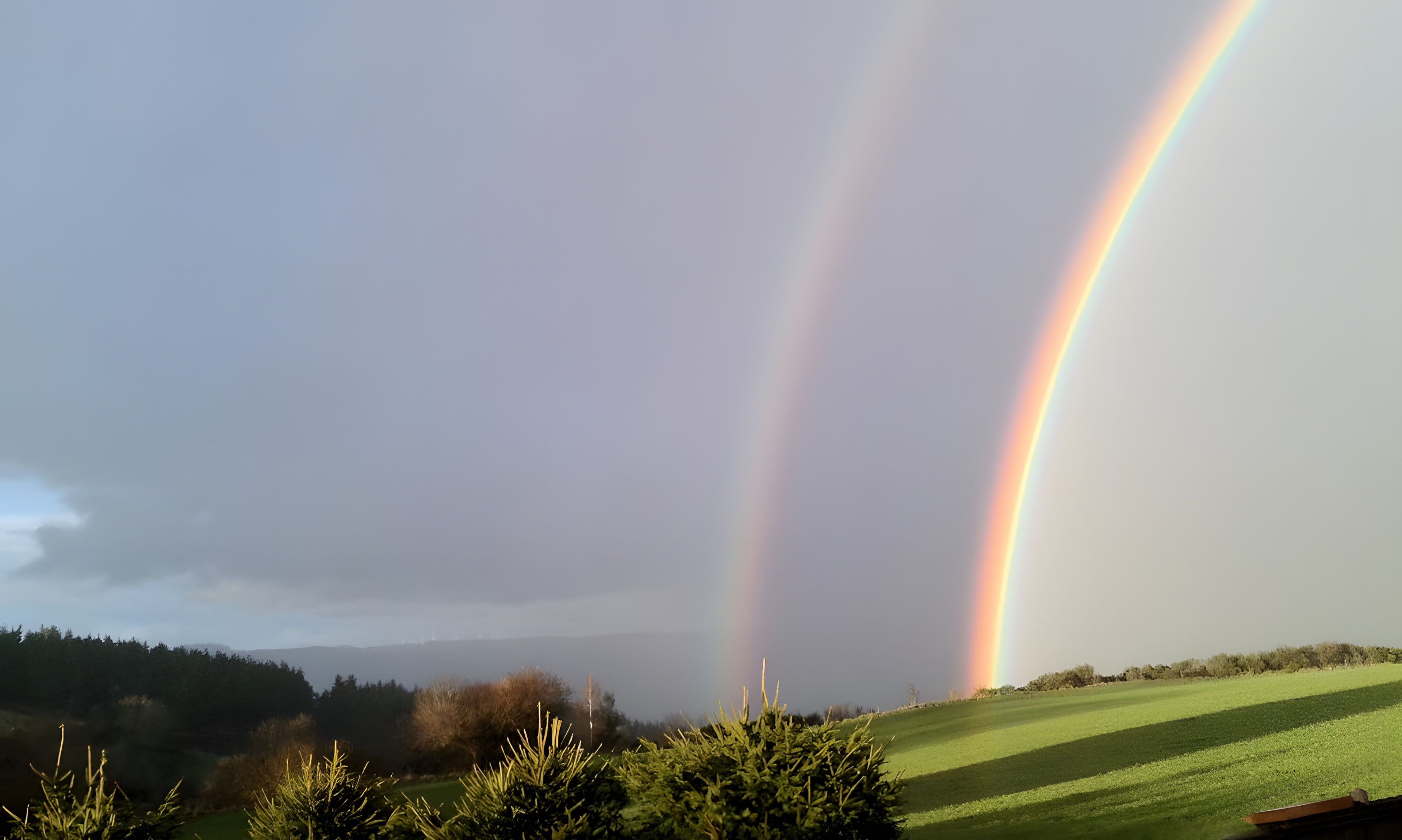 Een landschap met een regenboog en een groen veld.