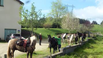 A stable with horses and a person leading a horse.