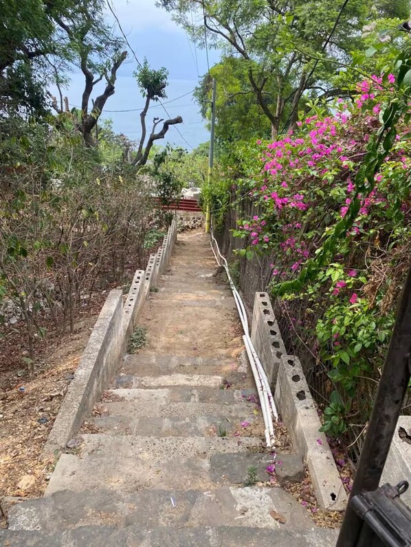 Una escalera de concreto rodeada de vegetación y una cerca.