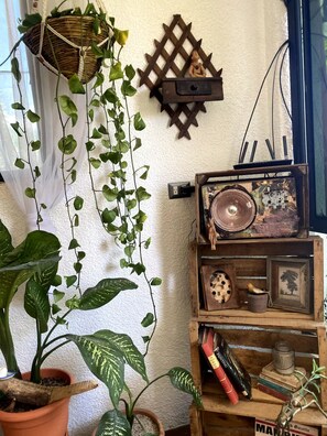 A room with hanging plants, a wooden shelf with books and decorative items, and a vintage radio. - Rockhouse - Steps to Water - Garden - F Optic (San Pedro La Laguna)