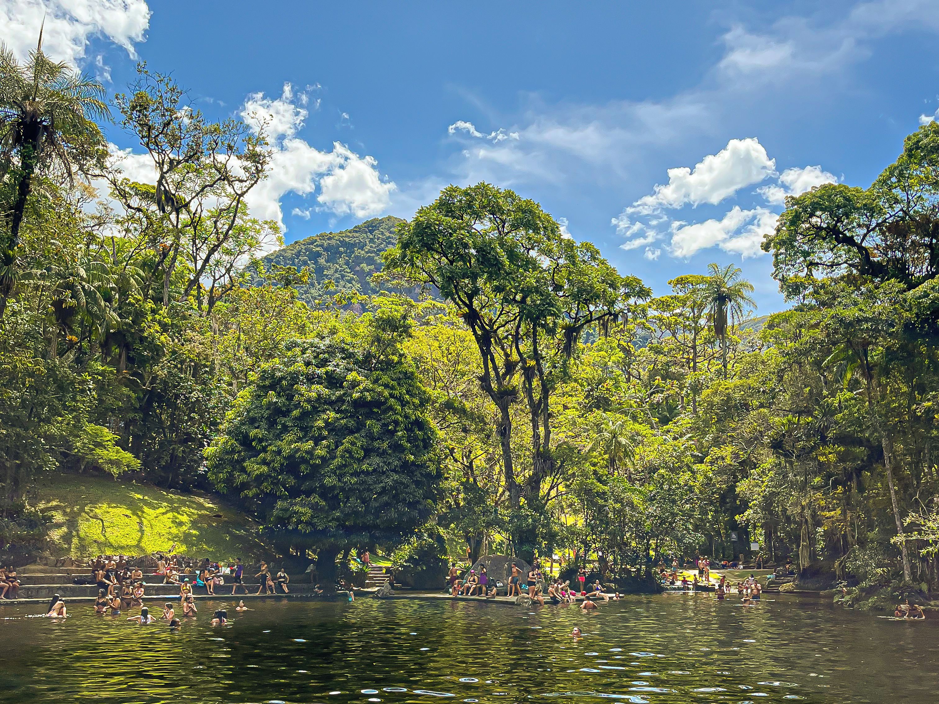 A natural setting with a water body surrounded by dense greenery and trees.