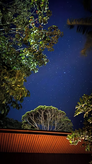A night sky with stars visible through tree branches.