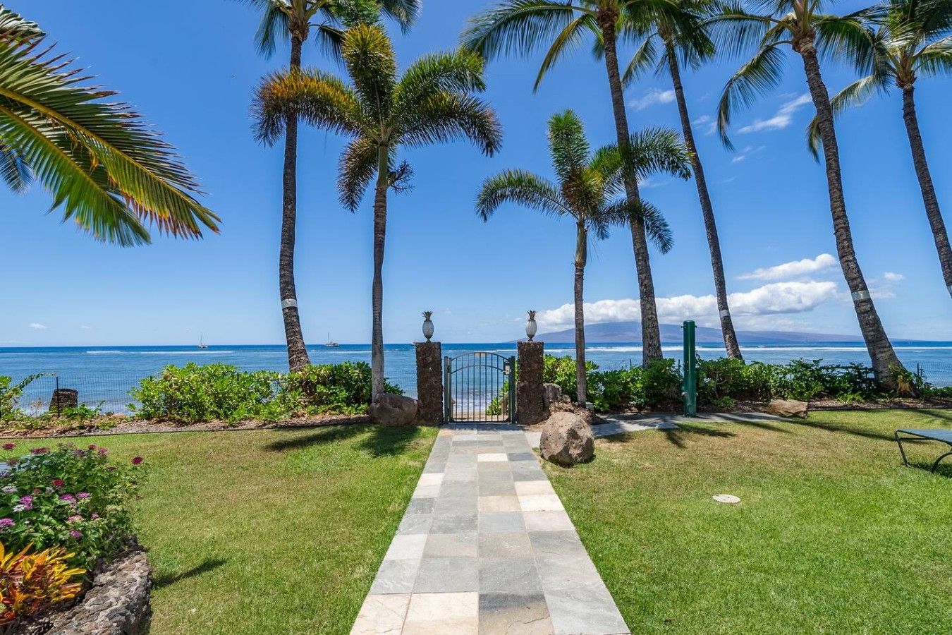 A pathway leading to a gate with palm trees and a view of the ocean.