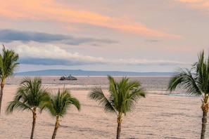 A beach with palm trees and a ship in the distance. - Lahaina Shores Beach Resort, Ocean Views Sleeps 5 (Lahaina)