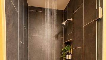A shower with a rain-like water feature, a potted plant, and a shelf with bottles.