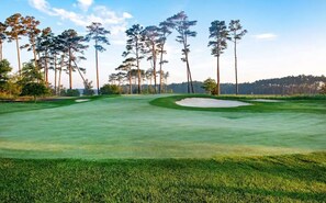 Ein Golfplatz mit Sandbunkern und hohen Bäumen.