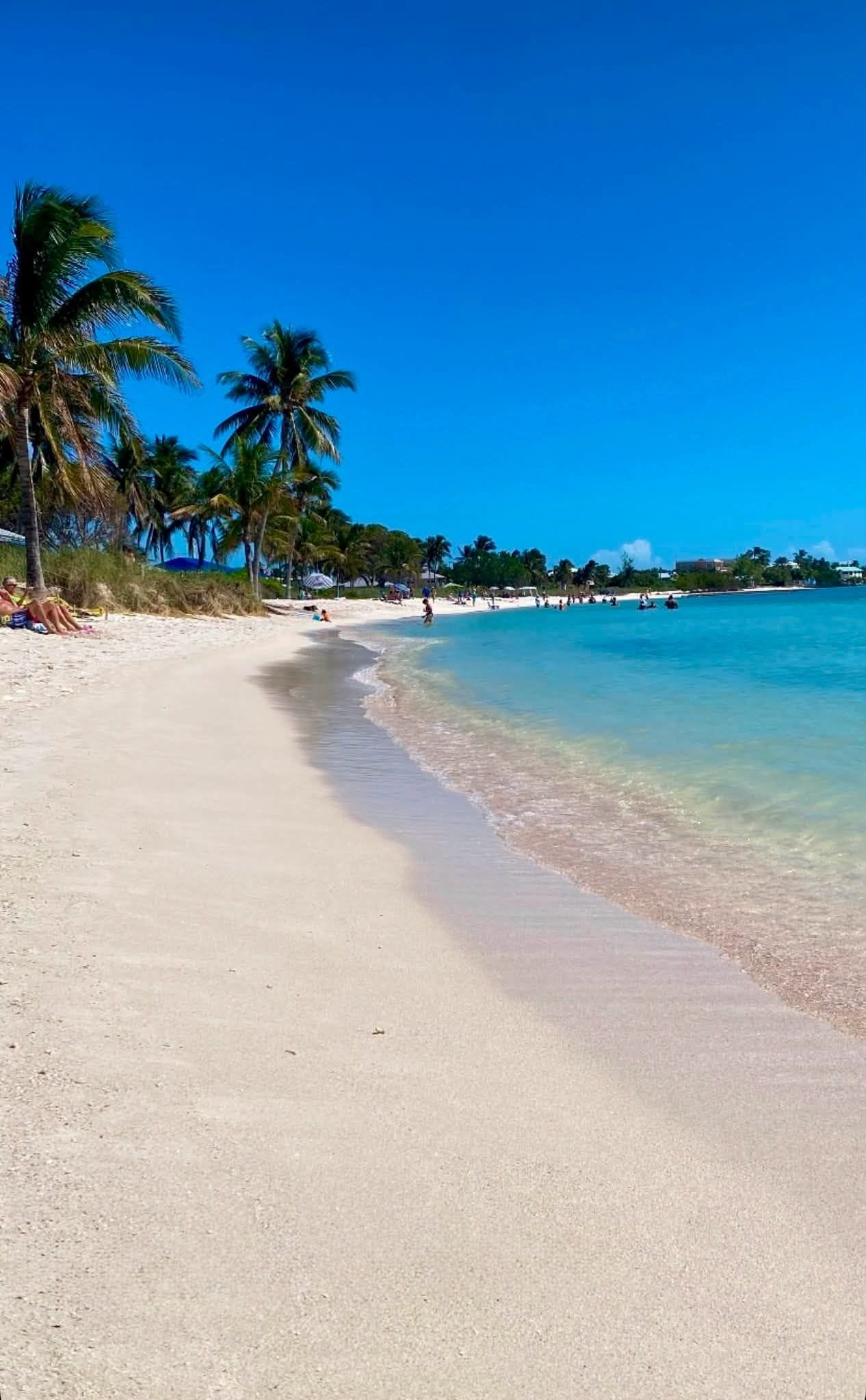 A beach with clear blue water, palm trees, and a sandy shore.