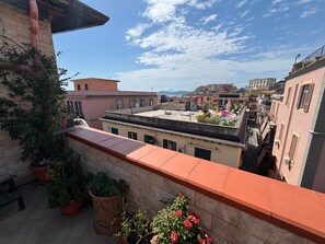 Une terrasse sur le toit, agrémentée de plantes en pot et offrant une vue sur le paysage urbain.
