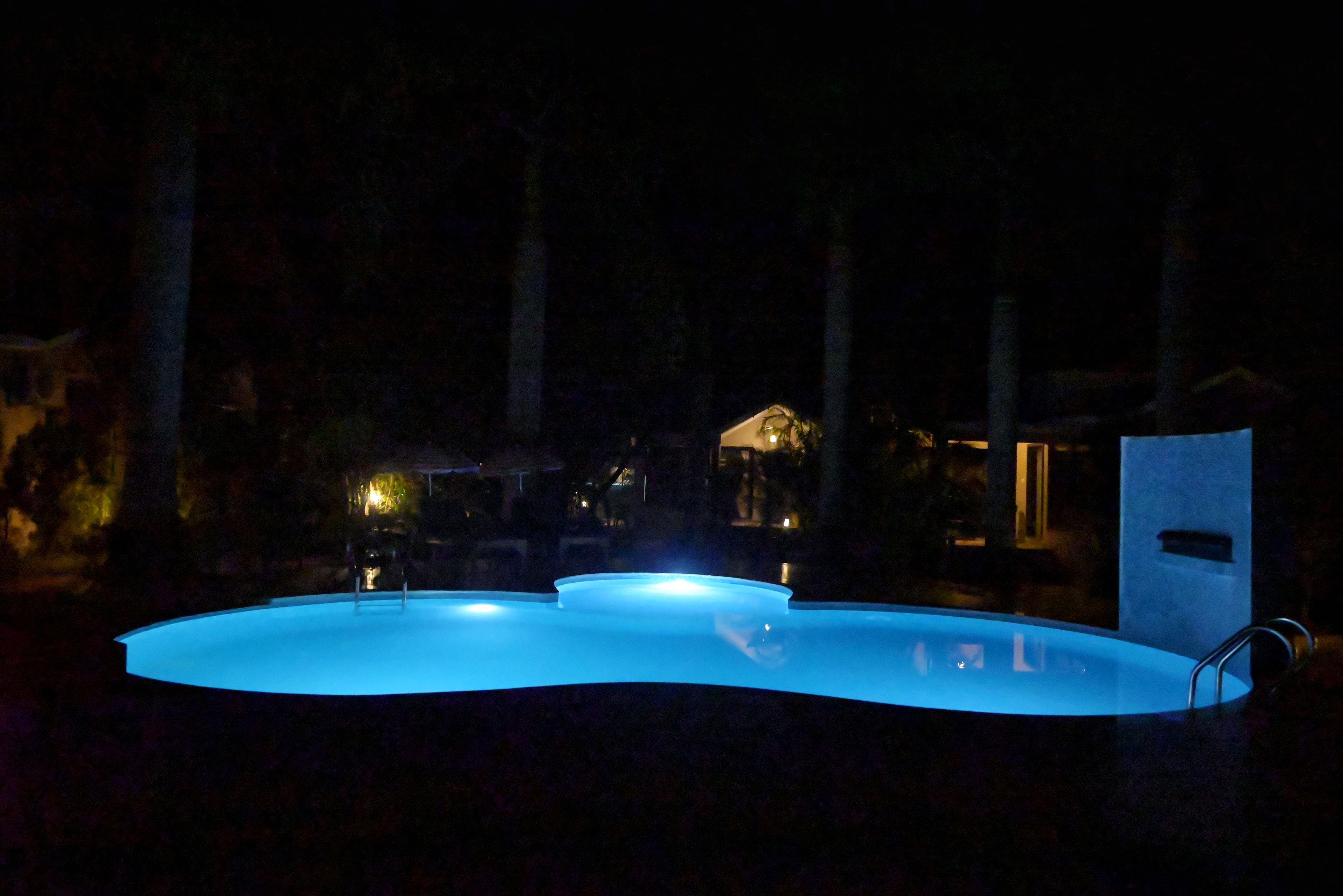 A swimming pool at night with a curved edge and a single ladder.