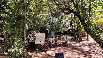 Jardim