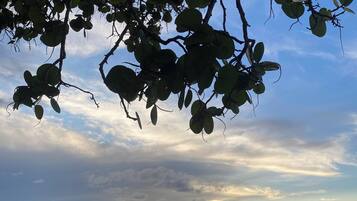 Uma praia com céu claro e mar calmo.