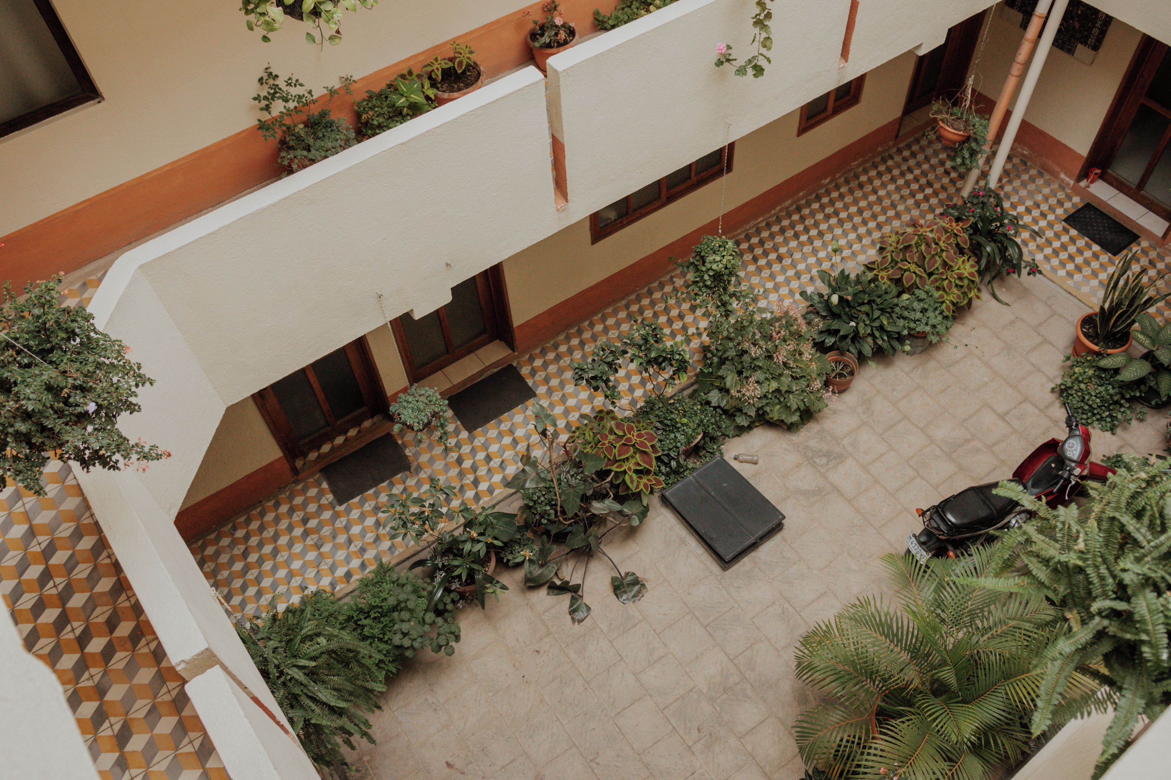 A multi-level atrium with a checkered floor pattern, multiple potted plants, and a parked scooter.