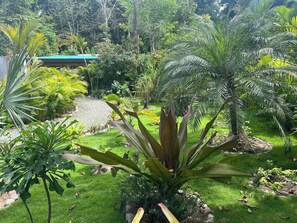 Taman