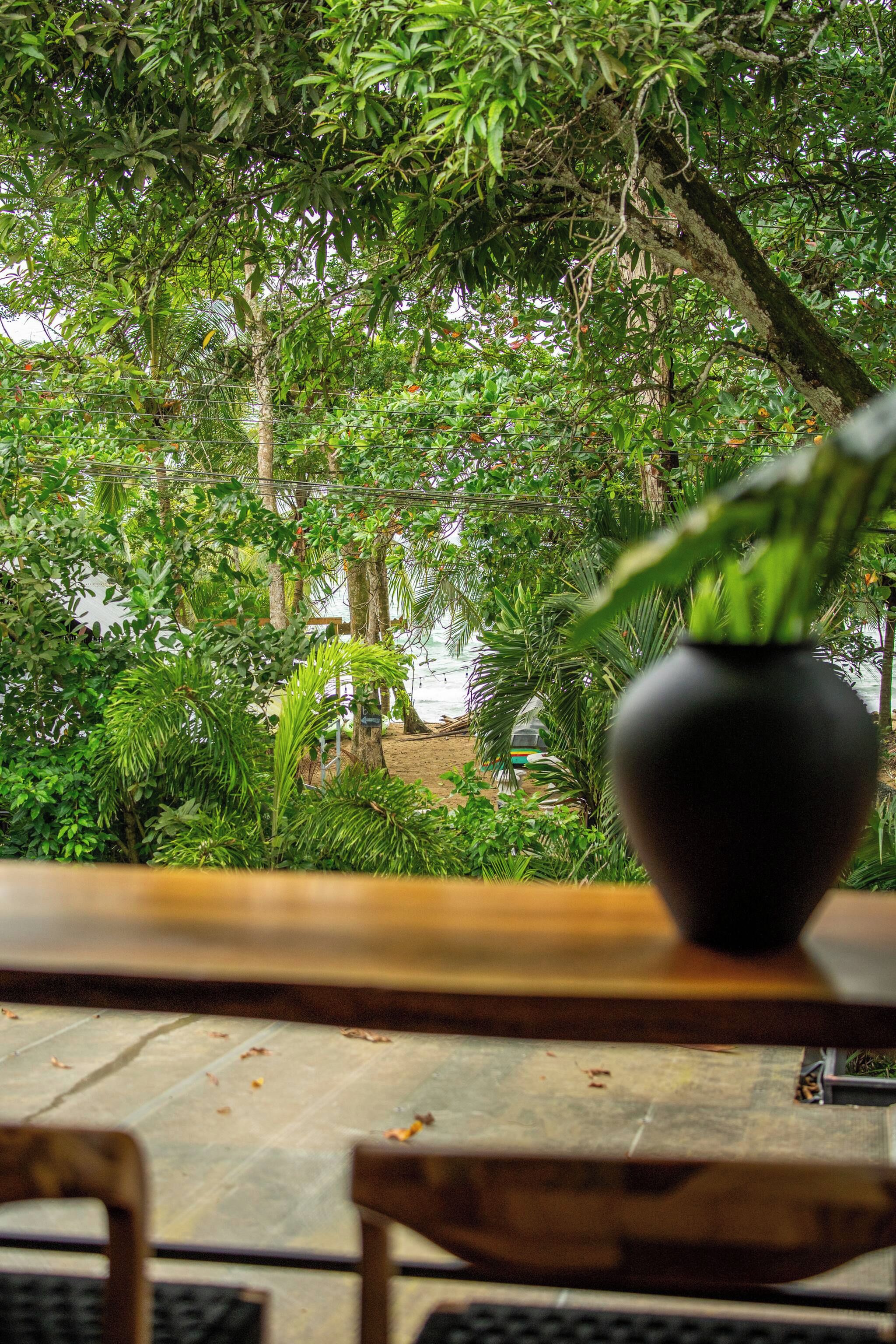 Una mesa de madera con una planta en maceta al frente, rodeada de abundante vegetación y vista a una playa.