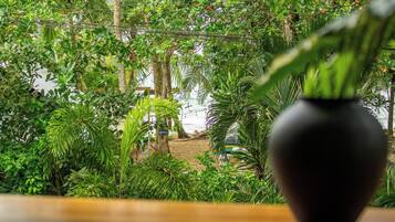 Una mesa de madera con una planta en maceta al frente, rodeada de abundante vegetación y vista a una playa.