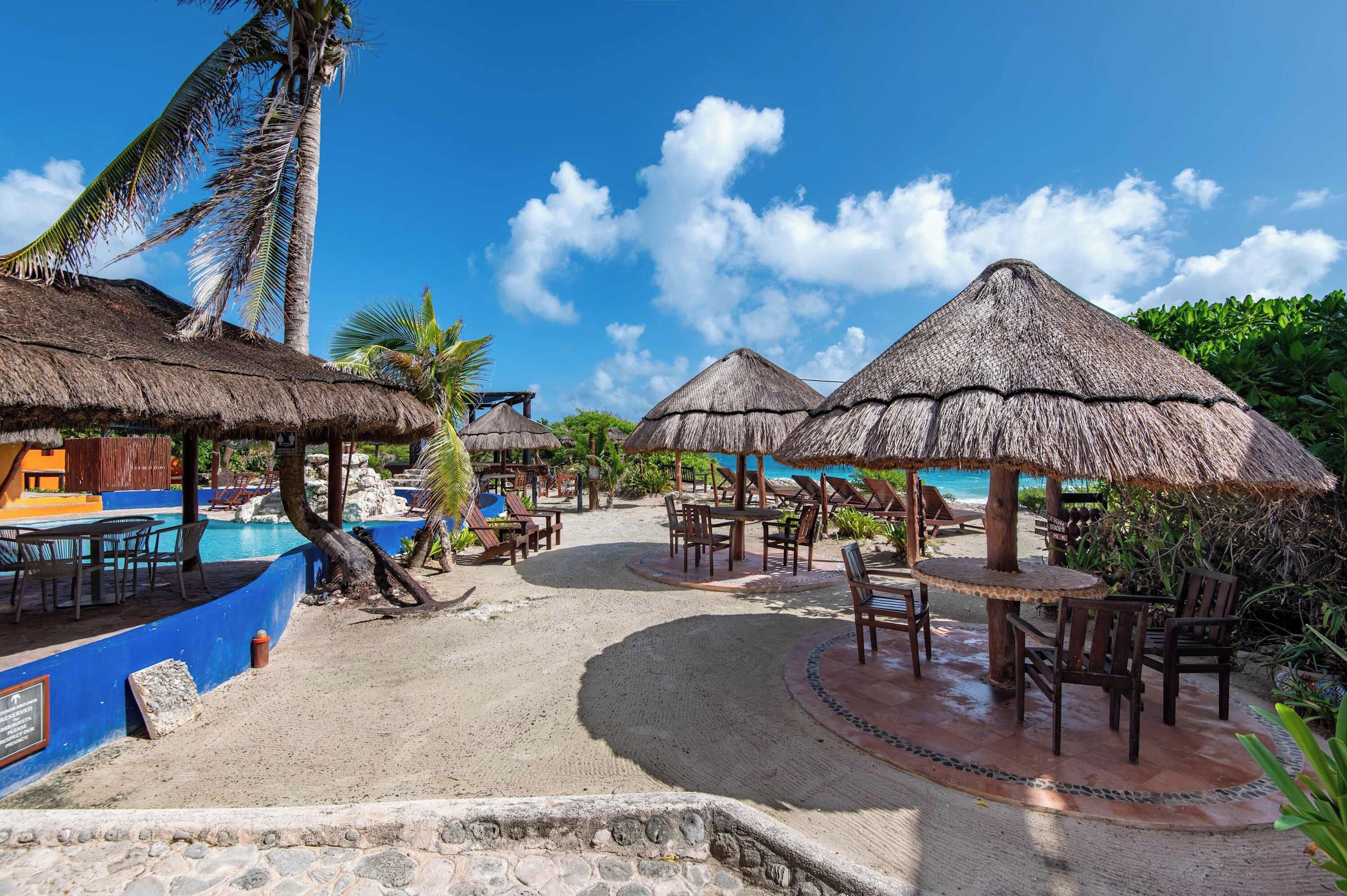 Un resort frente a la playa con sombrillas de paja, sillas de descanso y una zona de piscina.
