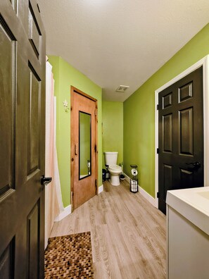 Ein Badezimmer mit Toilette, einer Holztür und einer grünen Wand.
