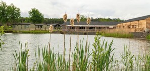 Terrain de l’hébergement