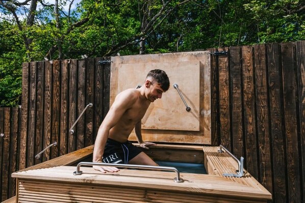 Un bain à remous en bois, doté de garde-corps en métal, installé contre une clôture en bois et entouré de verdure.