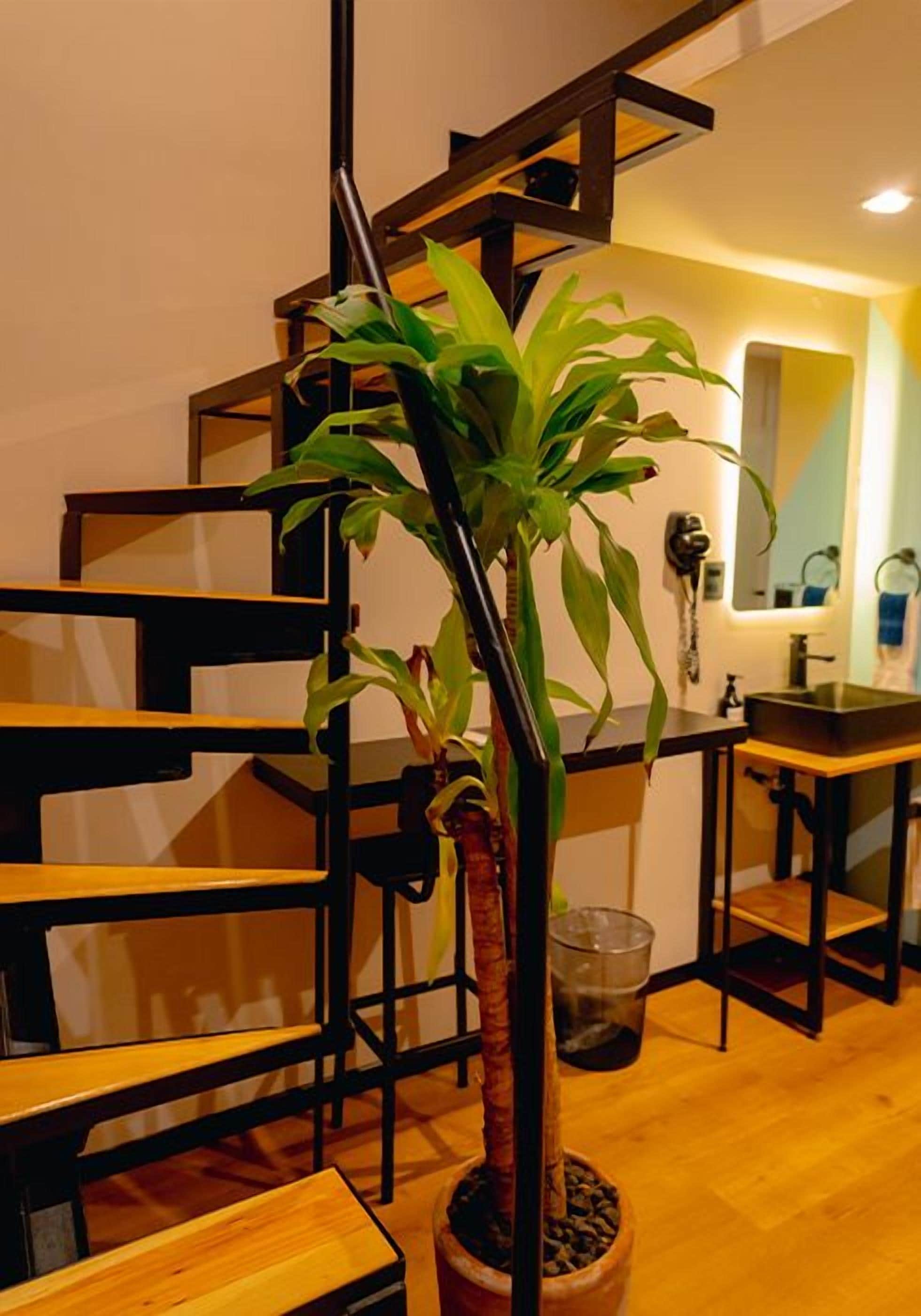 A staircase with wooden steps and a potted plant.