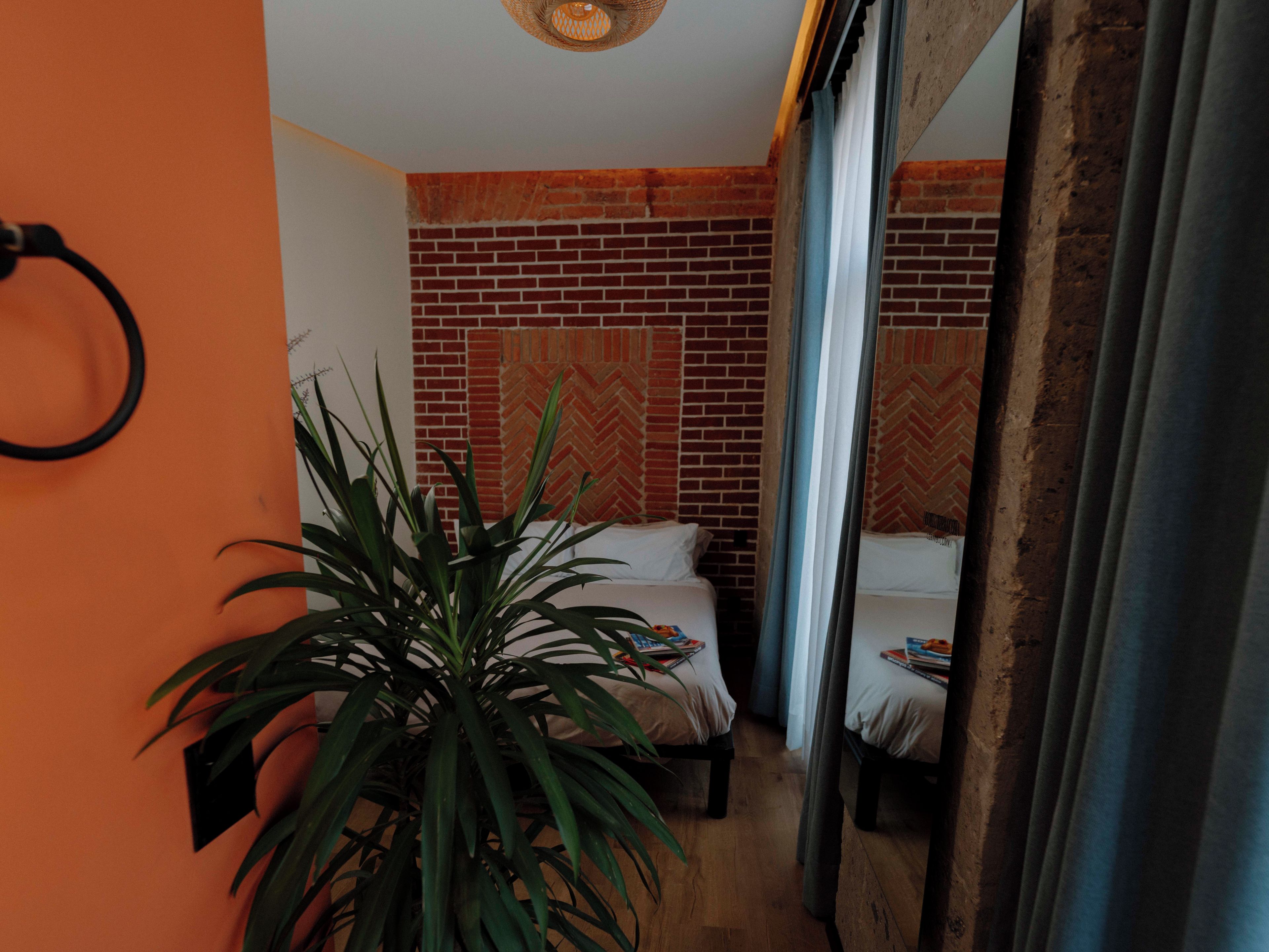 A room with a brick wall, a potted plant, and two beds.