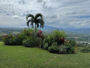 A lush garden with a palm tree, various plants, and a view of distant mountains. - Villa Aleva: Private Pool, Panoramic Views & 30+ Night Stays (Atenas)