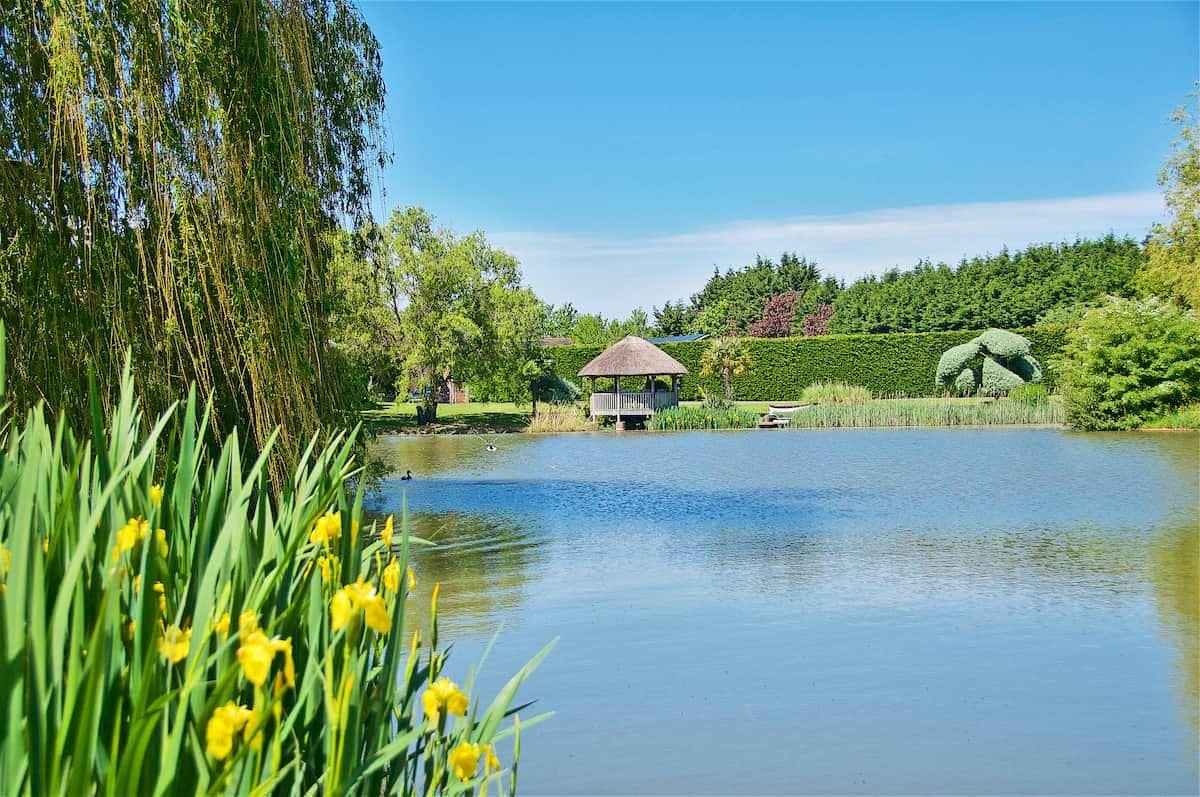 A tranquil pond with a gazebo, lush greenery, and a weeping willow.
