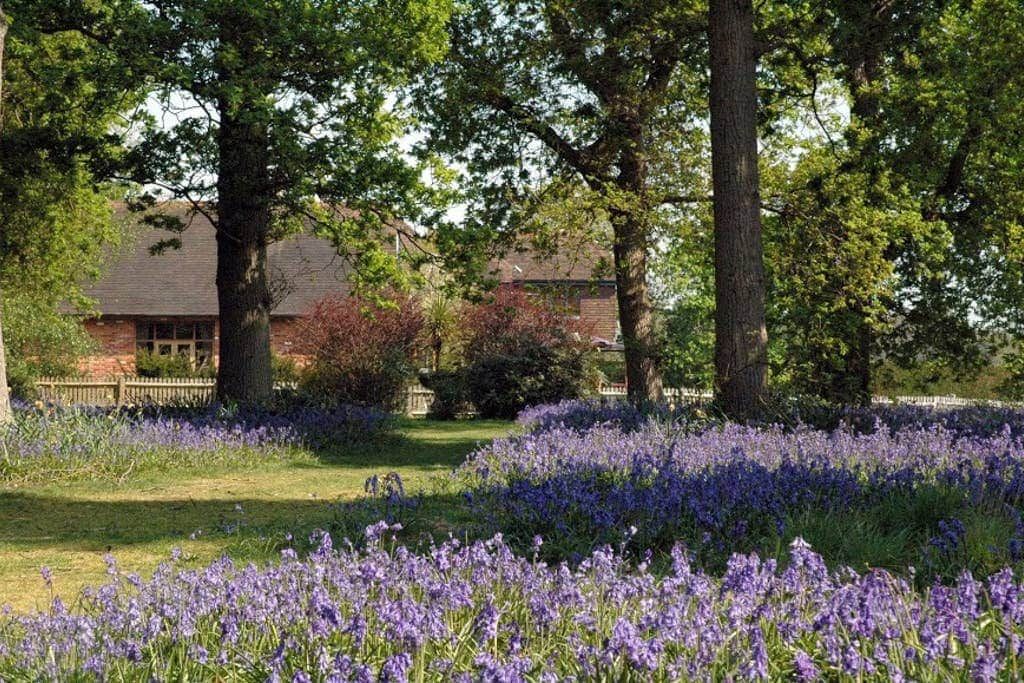 A garden with purple flowers and trees, a building with a brick facade, and a wooden fence.