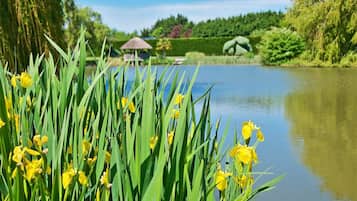 Un lac paisible, avec des fleurs jaunes au premier plan et un kiosque en arrière-plan.