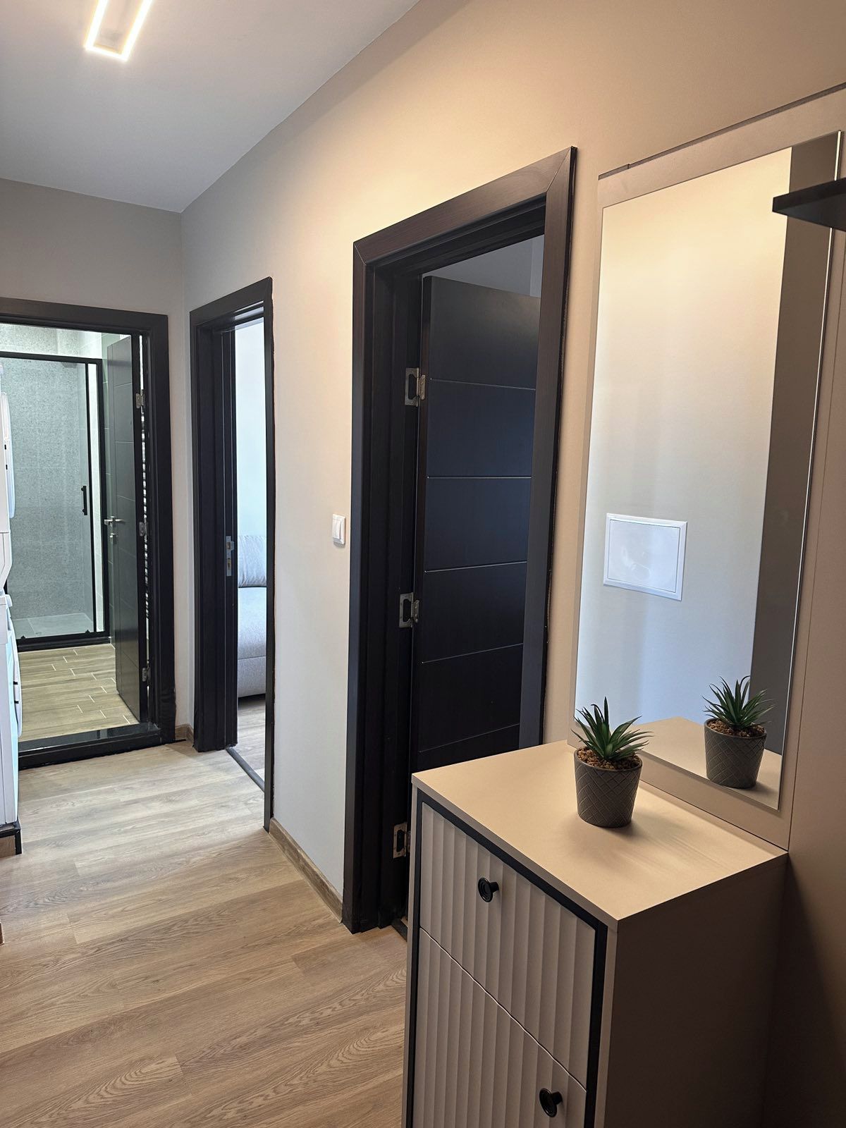 A hallway with a wooden floor, a black door, a mirror, and a small plant on a cabinet.