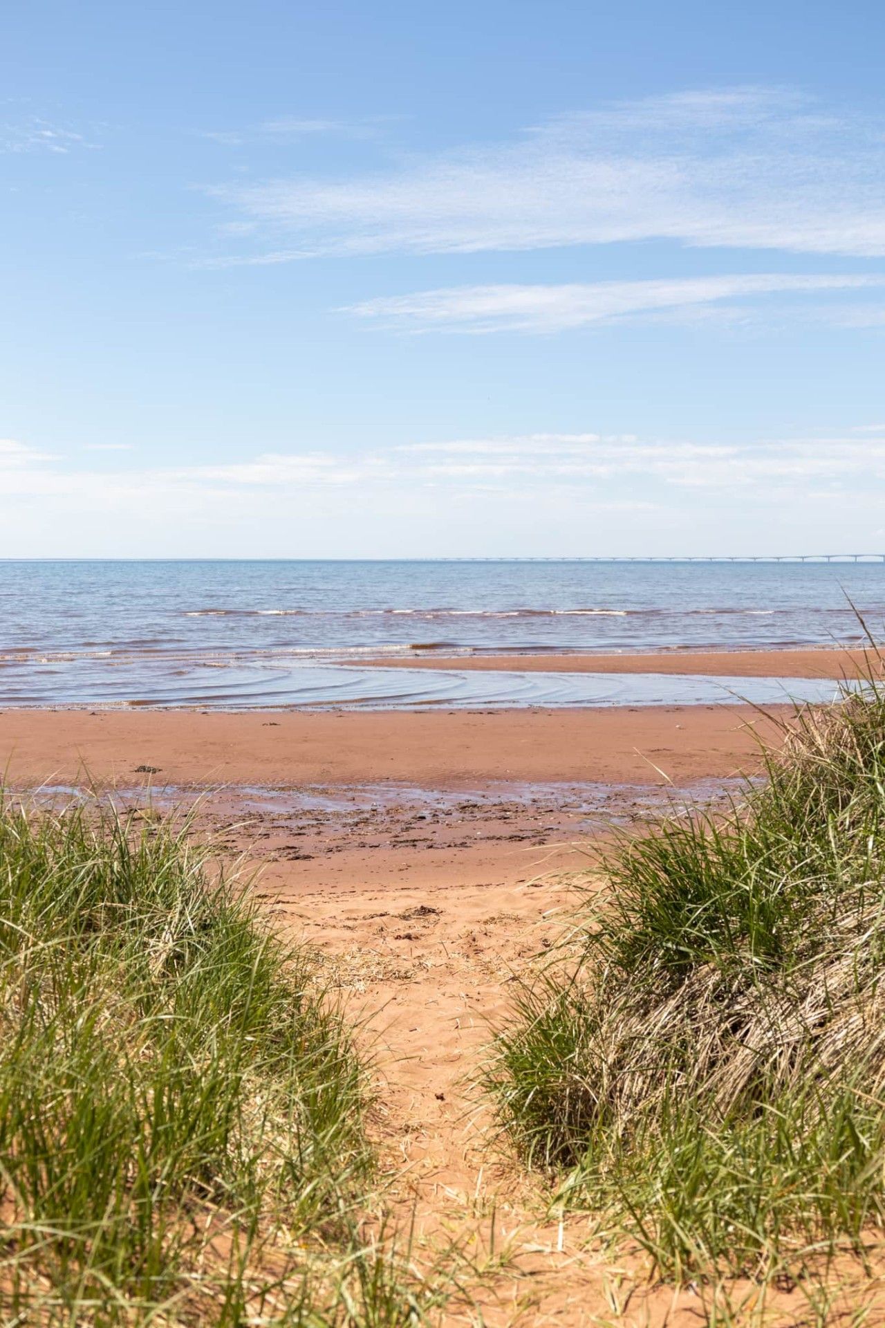A beach with a clear sky, a sandy shore, and grass in the foreground.