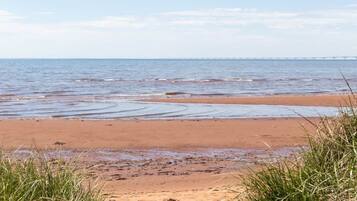 A beach with a clear sky, a sandy shore, and grass in the foreground.