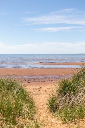 A beach with a clear sky, a sandy shore, and grass in the foreground.