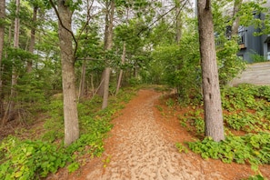 A forested path with trees and undergrowth. - Lake Michigan Beachfront | Fireplace + Lake Views (Glen Arbor)