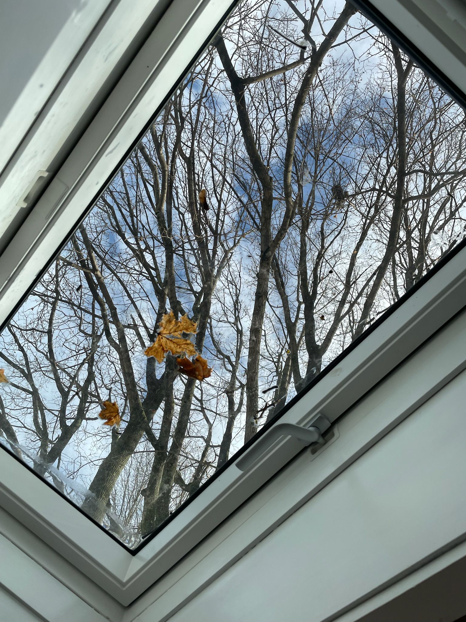 Een dakvenster met uitzicht op kale bomen en een heldere lucht.