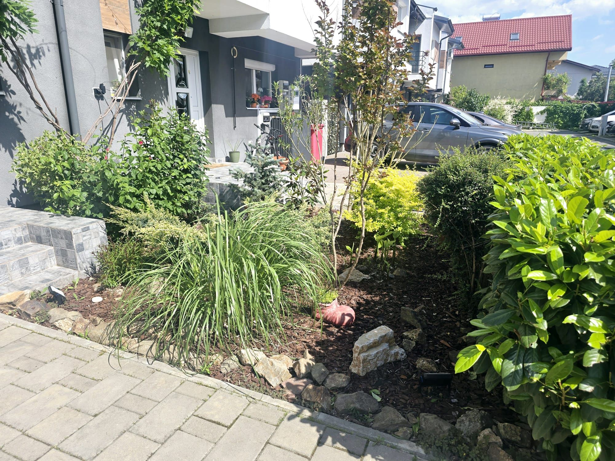 Ein privater Garten mit unterschiedlichen Pflanzen und einem gepflasterten Weg.